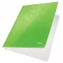 Leitz Flat File Card/Board WOW A4 – įprastas aplankalas, A4, kartonas, žalia, portretinė, 250 lapų