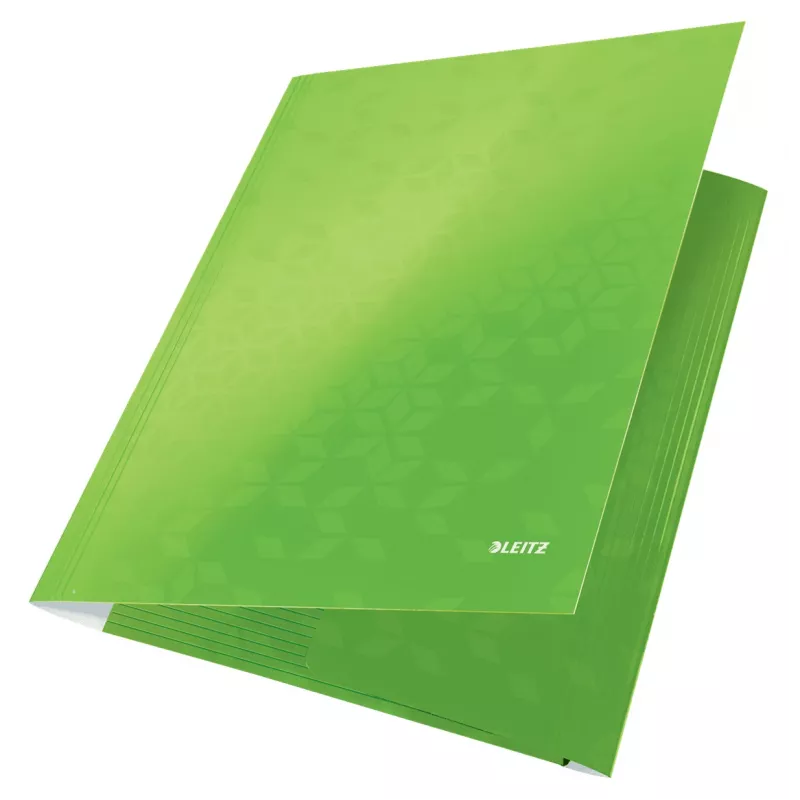 Leitz 3-Flap Folder WOW Card/POB A4, manilos segtuvas, A4, polipropilenas (PP), žalia, 250 lapų, 80 g/m²