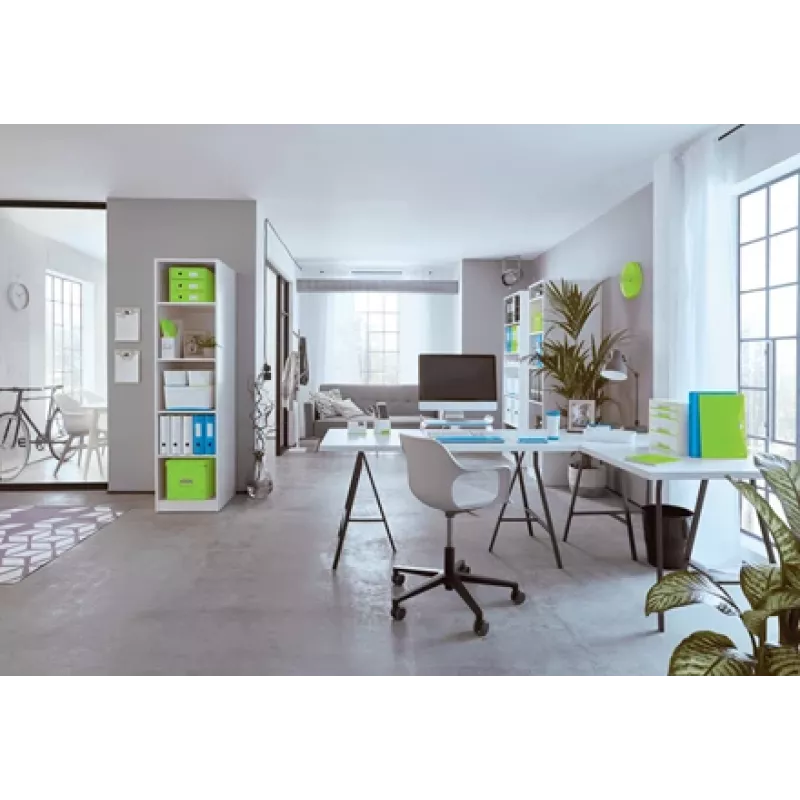 Segiklis Leitz 55312054 žalias
