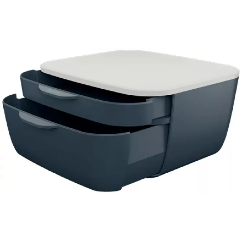 Leitz Cosy spintelė su stalčiais, 2 stalčiai, polistirenas (PS), juoda, balta, 1 vnt, 251 mm, 143 mm
