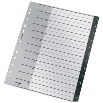 Leitz Recycle Index, PP, ypač platus, skaitmeninis skirtukų indeksas, polipropilenas (PP), juoda, balta, portretinė, A4 Maxi, 160 g/m²
