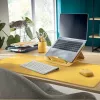 Leitz Cosy belaidė pelė, ambidekstrinė, RF Wireless + Bluetooth, 4000 DPI, oranžinė