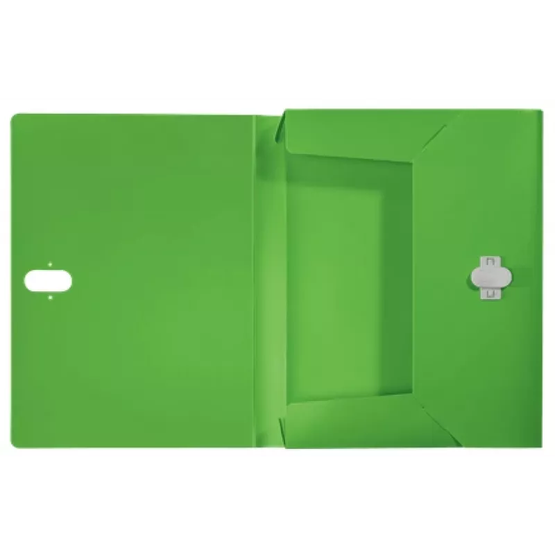Leitz Recycle Box File, įprastas segtuvas, A4, polipropilenas (PP), žalias, gulsčias/vertikalus, 250 lapų