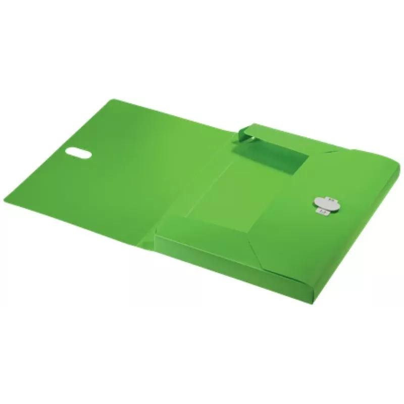 Leitz Recycle Box File, įprastas segtuvas, A4, polipropilenas (PP), žalias, gulsčias/vertikalus, 250 lapų