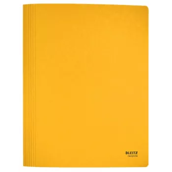 Leitz Recycle Card Flat File, įprastas segtuvas, A4, kartonas, geltona, gulsčias/vertikalus, 250 lapų