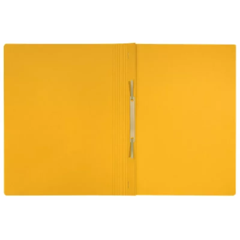 Leitz Recycle Card Flat File, įprastas segtuvas, A4, kartonas, geltona, gulsčias/vertikalus, 250 lapų