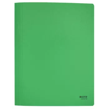Leitz Recycle Card Flat File, klasikinis segtuvas, A4, kartonas, žalia, gulsčias/vertikalus, 250 lapų