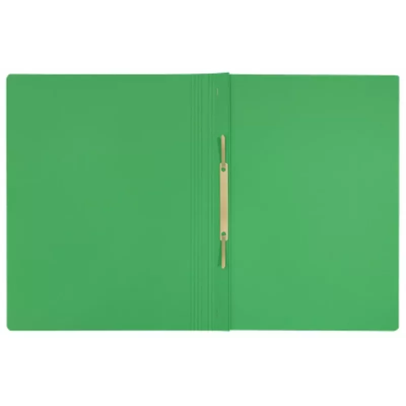 Leitz Recycle Card Flat File, klasikinis segtuvas, A4, kartonas, žalia, gulsčias/vertikalus, 250 lapų