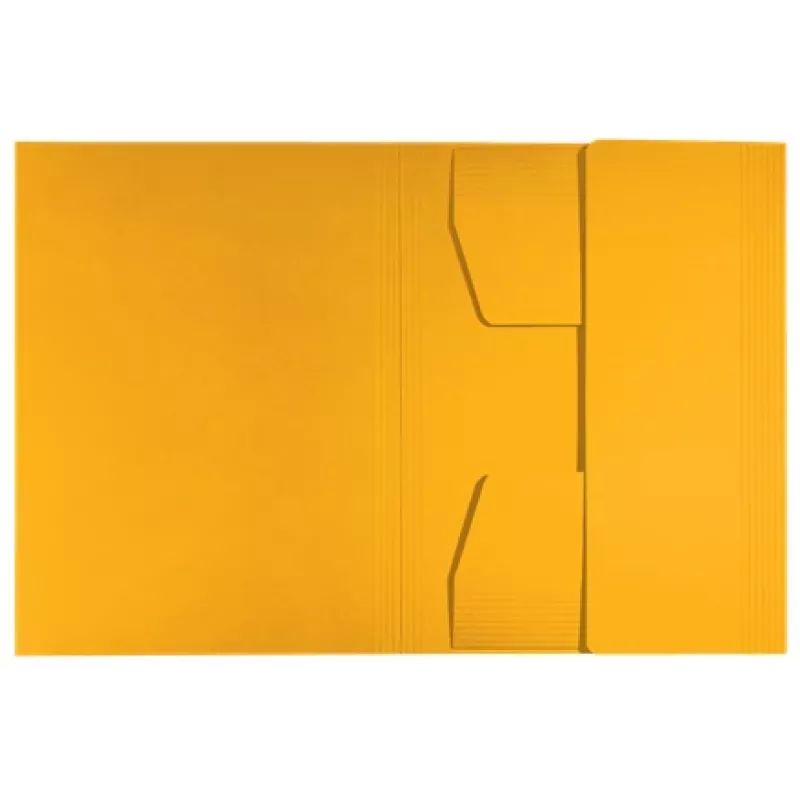 Leitz Recycle Card 3-Flap Folder, aplankalas su trimis atvartais, A4, kartonas, geltona, gulsčias/vertikalus, 250 lapų