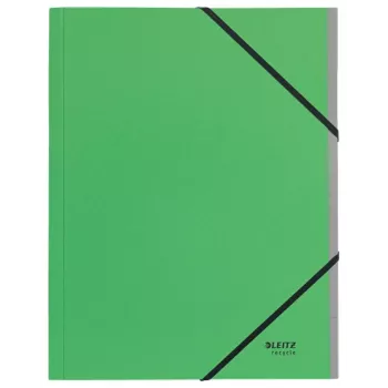 Leitz Recycle Card Divider Book, Segtuvas su parašais, A4, Kartonas, Žalia, 430 g/m², Elastinė juosta