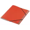 Leitz Recycle Card Skiriamieji lapai su kietais viršeliais, A4, kartonas, raudona, 430 g/m², klimatui neutralūs, 247 mm