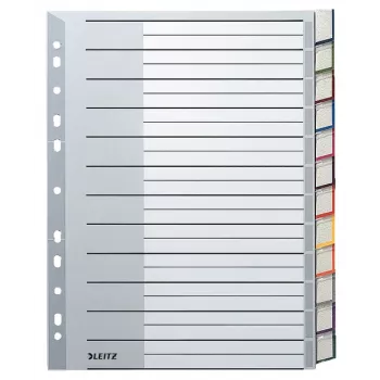 Leitz 12740000 tuščios kortelės skirtukai, kartoniniai, pilki/balti