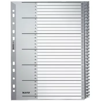 Leitz 12810000 Skaitmeninės kortelės skirtukai Kartonas Pilka