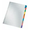 Leitz 43210000 tuščias skirtukų indeksas, kartonas, įvairiaspalvis