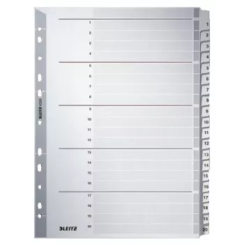 Leitz 43260000 skaitmeninis skirtukų indeksas kartoninis pilkas