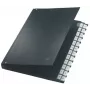 Leitz 59240095 skirstytuvas juodas Polipropilenas (PP)