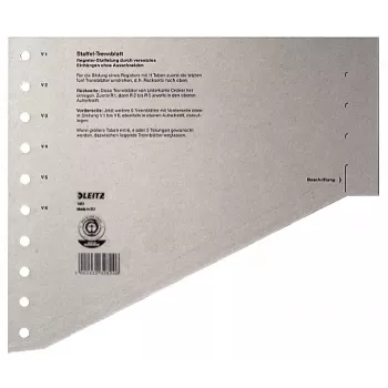 Leitz 16510085 tuščias skirtukų indeksas, kartonas, pilka, A4, 200 g/m², 240 mm