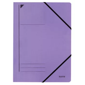 Leitz 39800065 aplankas A4 kartoninis violetinis