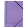 Leitz 39800065 aplankas A4 kartoninis violetinis