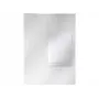 Leitz Folder CombiFile Organiser A4, polipropilenas, 229x313 mm