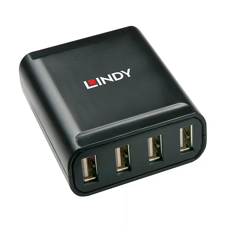 Lindy USB 2.0 Cat.6 ilgintuvas 60m 4 prievadai