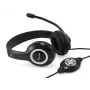Ausinės Equip 245301 laidinės USB stereo