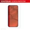 Displex Screen Protector + Dėklas, skirtas Google Pixel 10 Pro XL, Eco montavimo rėmelis, atsparus įbrėžimams