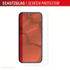 Grūdintas stiklo apsauginis stikliukas su dėklu, skirtas Google Pixel 10, e.v.i. (DISPLEX Real Glass + Dėklas)