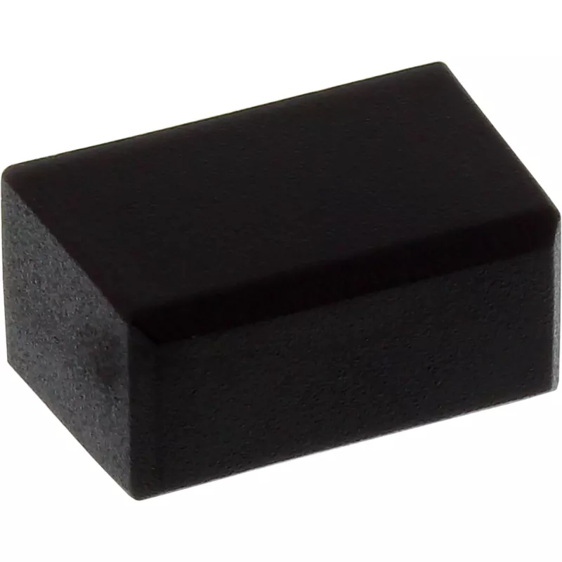 InLine Dust Cover DisplayPort kištukui, juoda, 50 vnt.