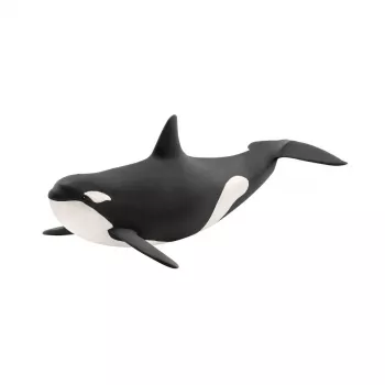 Schleich WILD LIFE Orka žaislinė figūrėlė