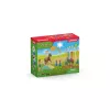 schleich Pony vikrumo treniruotė, Agility, Ūkio gyvūnai / ūkio žaislai, 3 metai, Įvairiaspalvis, Plastikas