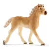 schleich Veterinarijos praktika su gyvūnais