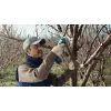 Bosch Pro Pruner Professional belaidė žoliapjovė 2,5 cm 12 V Ličio jonų (Li-Ion) Juoda, Mėlyna