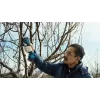 Bosch Pro Pruner Professional belaidė žoliapjovė 2,5 cm 12 V Ličio jonų (Li-Ion) Juoda, Mėlyna