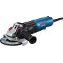 Kampinis šlifuoklis Bosch GWS 17-150 PS PROFESSIONAL 150 mm 9700 aps./min. 1700 W 2,4 kg