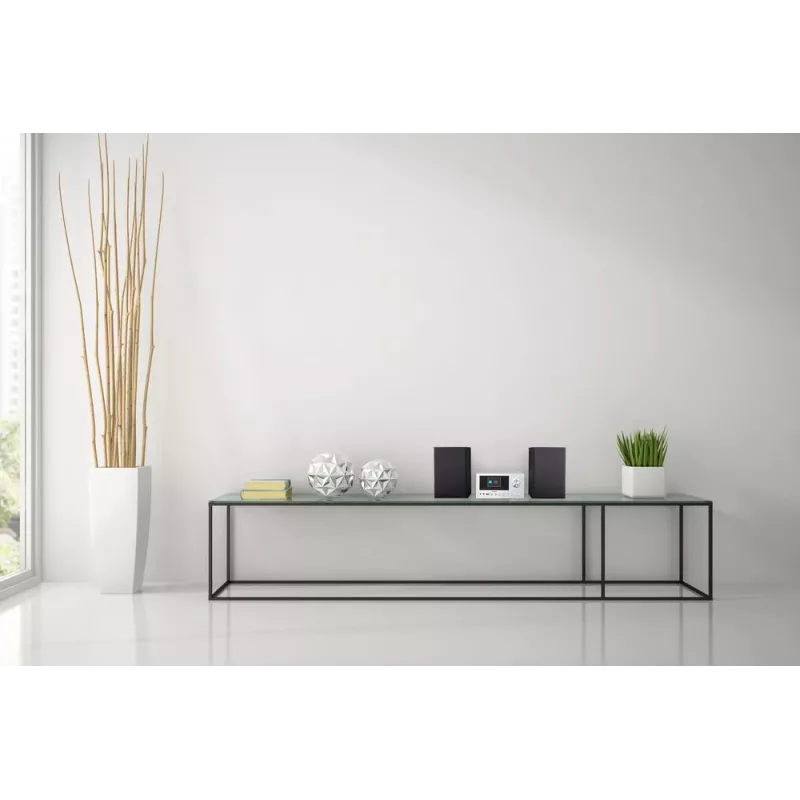MEDION LIFE P85003 Namų garso mikro sistema 30 W Juoda, Sidabrinė