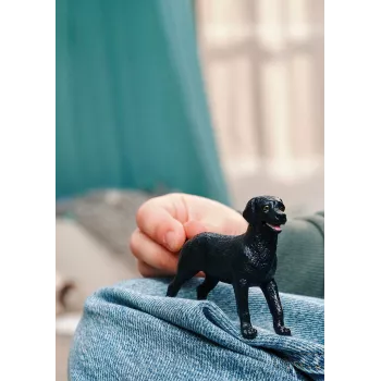 Schleich 14922 vaikų žaislinė figūrėlė