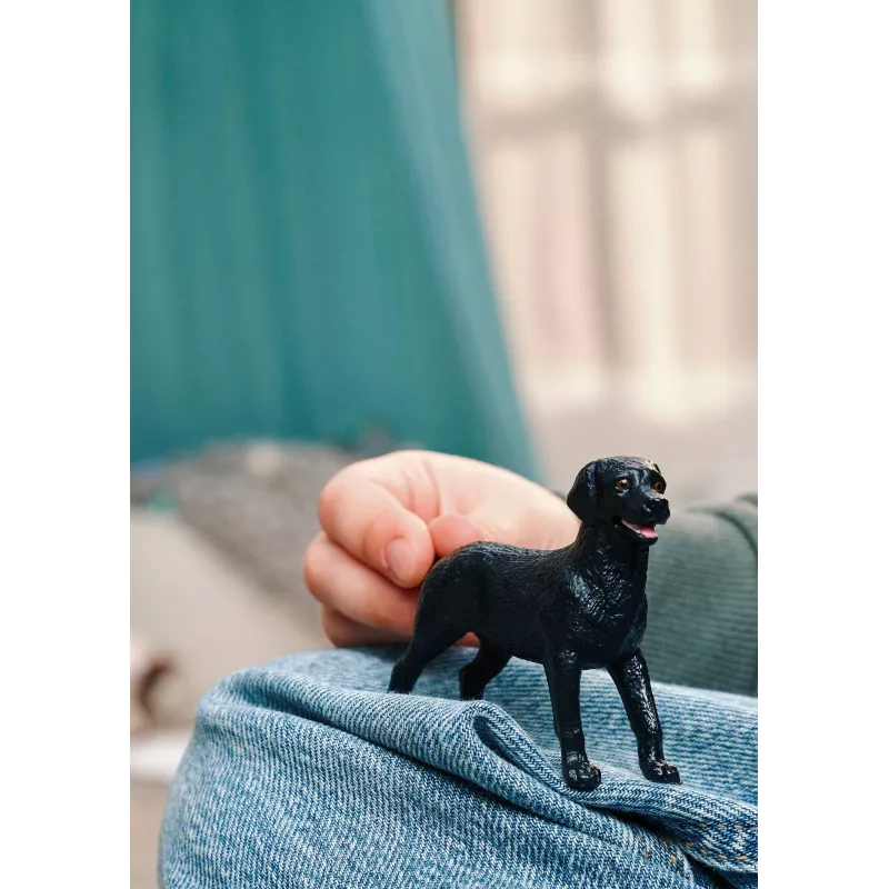 Schleich 14922 vaikų žaislinė figūrėlė
