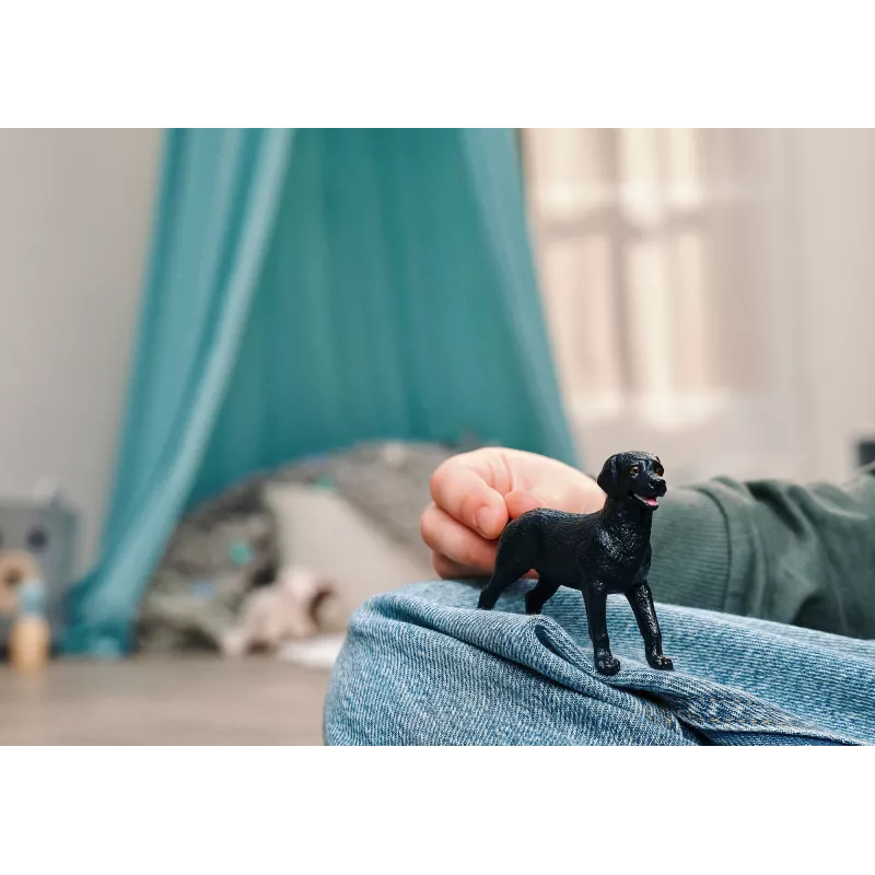 Schleich 14922 vaikų žaislinė figūrėlė