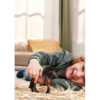 Schleich FARM WORLD 14927 vaikiška figūrėlė