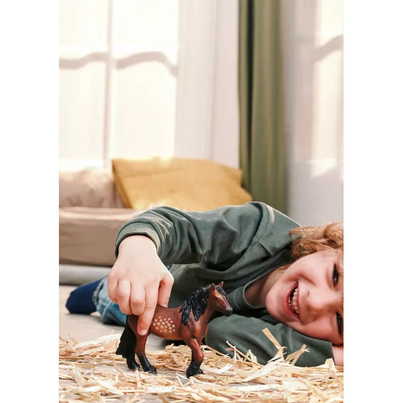 Schleich FARM WORLD 14927 vaikiška figūrėlė