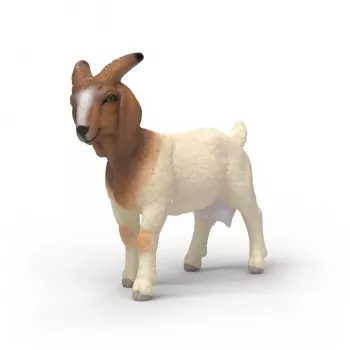Schleich FARM WORLD 14929 vaikiška figūrėlė ūkio gyvūnų rinkinys