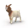 Schleich FARM WORLD 14929 vaikiška figūrėlė ūkio gyvūnų rinkinys