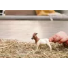Schleich FARM WORLD 14929 vaikiška figūrėlė ūkio gyvūnų rinkinys