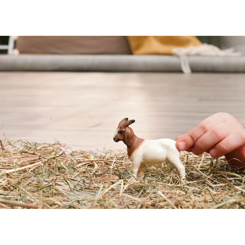 Schleich FARM WORLD 14929 vaikiška figūrėlė ūkio gyvūnų rinkinys