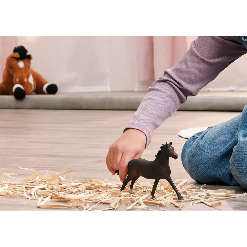 Schleich 14914 vaikiška žaislinė figūrėlė
