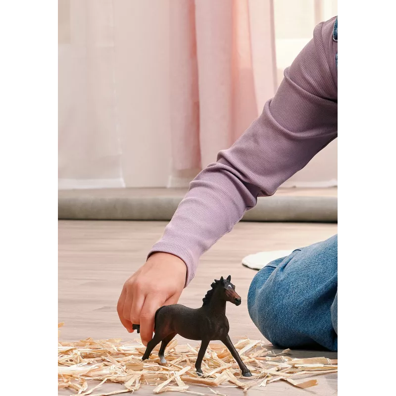 Schleich 14914 vaikiška žaislinė figūrėlė