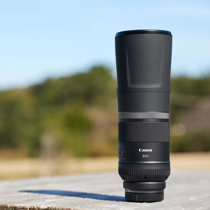 Canon RF 800mm F11 IS STM objektyvas, superteleobjektyvas, 11/8, Canon RF