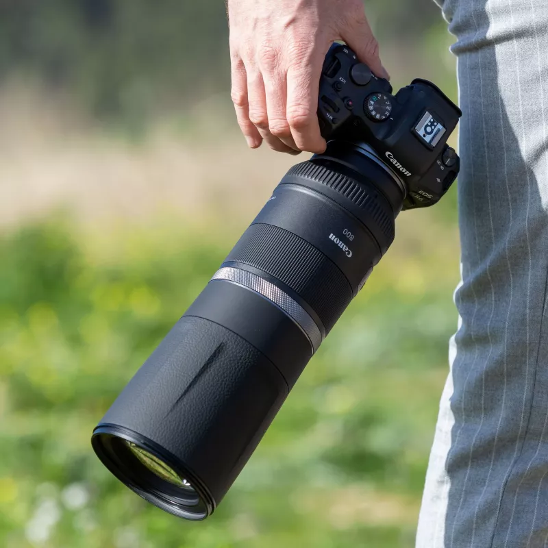 Canon RF 800mm F11 IS STM objektyvas, superteleobjektyvas, 11/8, Canon RF