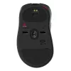 ZOWIE EC3-DW pelė žaidimams Dešiniajai rankai USB Type-A Optinė 3200 DPI